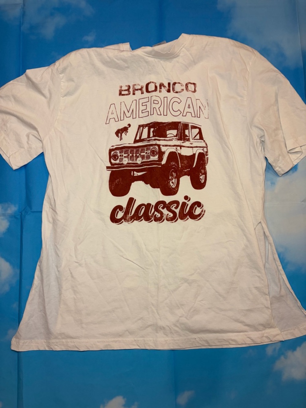 Vintage Bronco Graphic Tee | Western Cowboy Aesthetic | Oversized XL